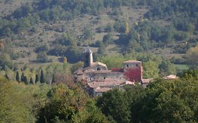 Chateau De Camon